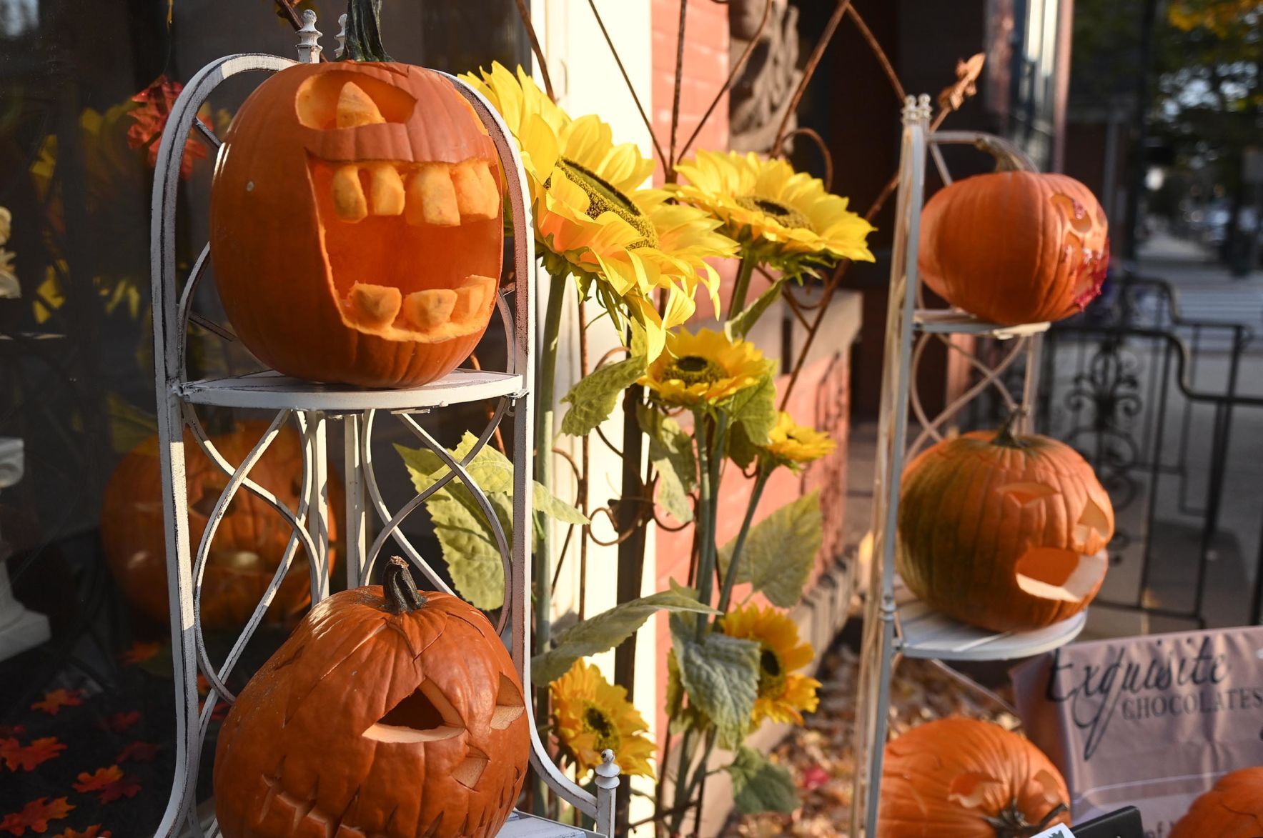 Halloweekend's pumpkin Path 5